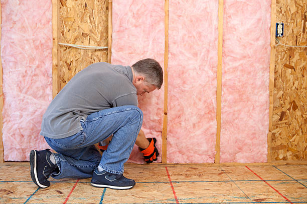 Best Specialized Insulation Services in Marinette, WI