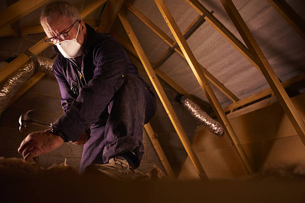 Best Insulation Maintenance and Repair in Marinette, WI